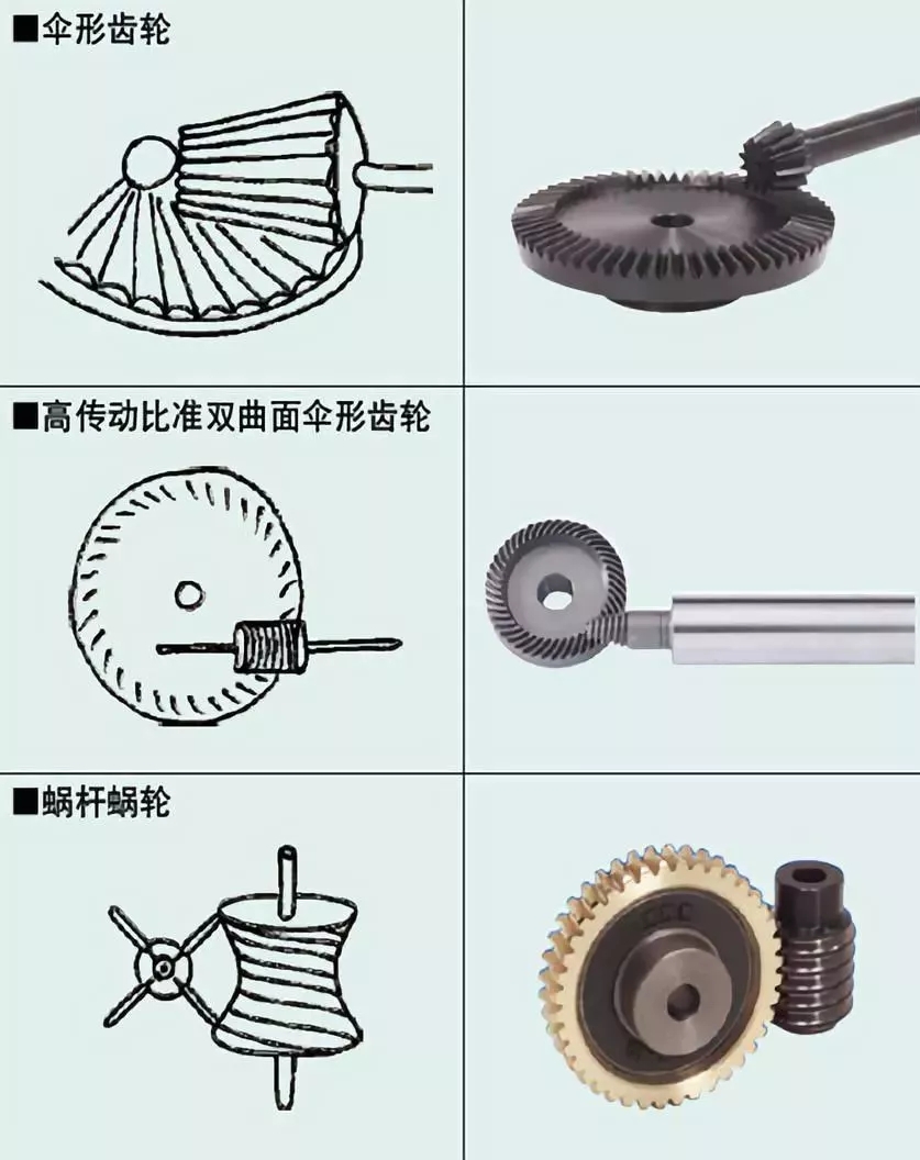 Plastic gear